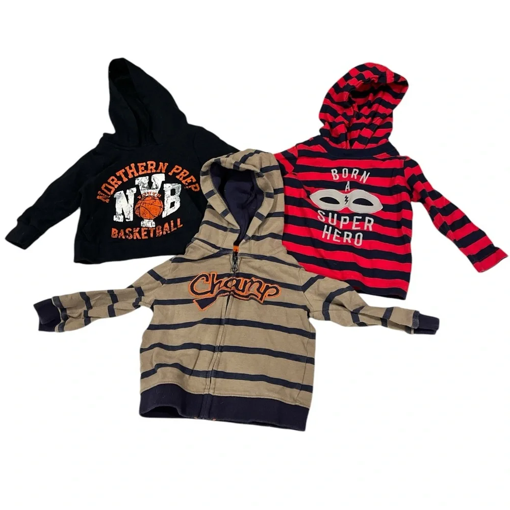 Bundle of 6-9 Month Hoodies
